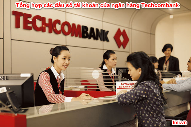 tong-hop-cac-dau-so-tai-khoan-cua-ngan-hang-techcombank