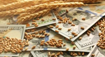 Đầu tư lúa mì là gì? Hướng dẫn giao dịch lúa mỳ tại Việt Nam